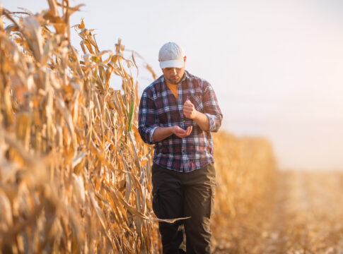Settore agricolo, ecco chi può essere inquadrato