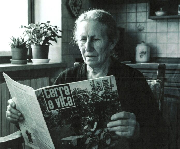 armella lovazzano_mig