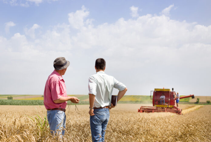 grano da sito Bayer