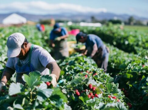 Lavoro irregolare, coinvolto il 34% degli addetti