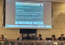 Pac 2028-2034, la partita dei territori: risorse, regole e una nuova idea di agricoltura