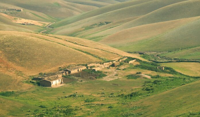 georgofili