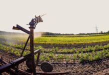 Fieragricola Tech 2027, spazio all’innovazione