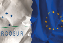 Mercosur, donne e sanità animale: le partite aperte dell’agricoltura Ue