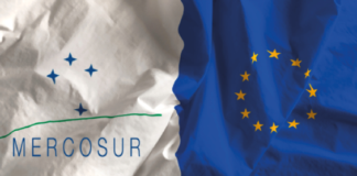 Mercosur, donne e sanità animale: le partite aperte dell’agricoltura Ue