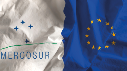 Mercosur, donne e sanità animale: le partite aperte dell’agricoltura Ue