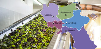 Campania, 4,8 milioni per ammodernare 24 frantoi
