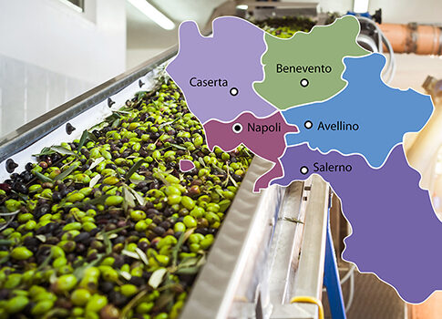 Campania, 4,8 milioni per ammodernare 24 frantoi