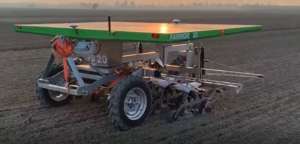 zucchero sostenibilità