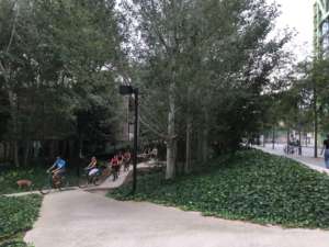 Progettare con gli alberi: