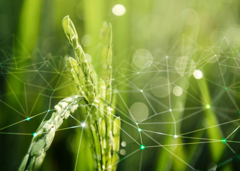 batterie e supercondensatori