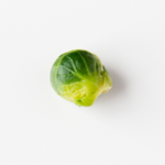 round_cnctd2