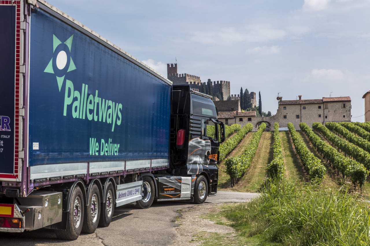 logistica