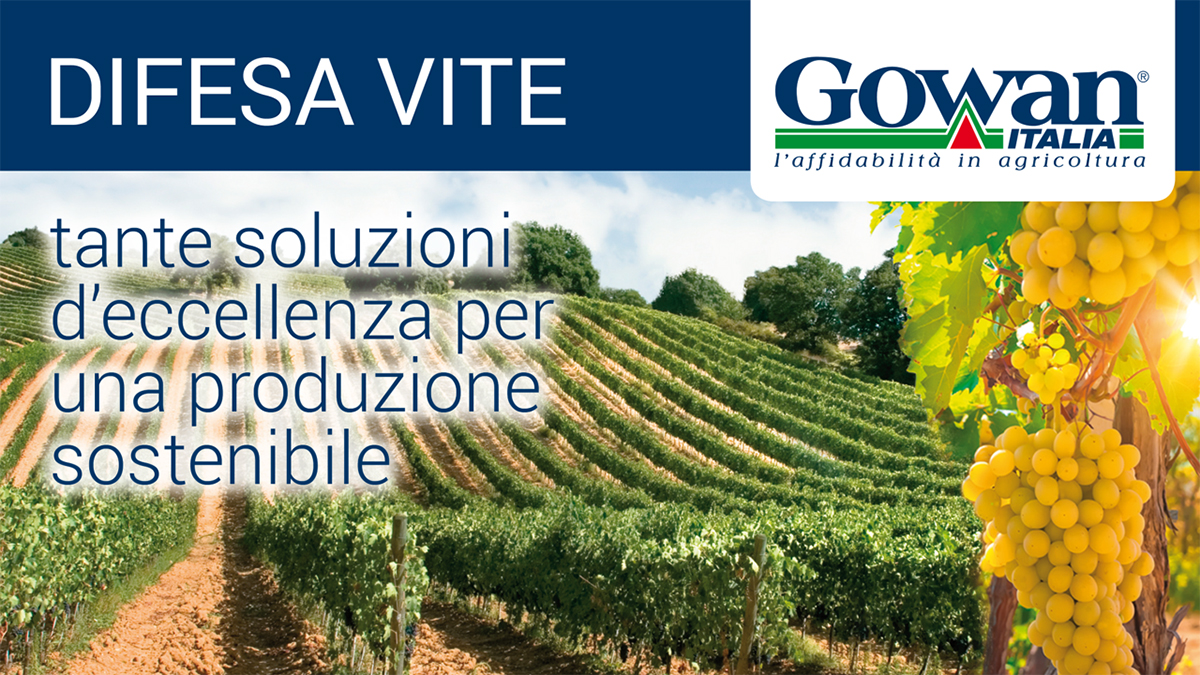 difesa sostenibile della vite
