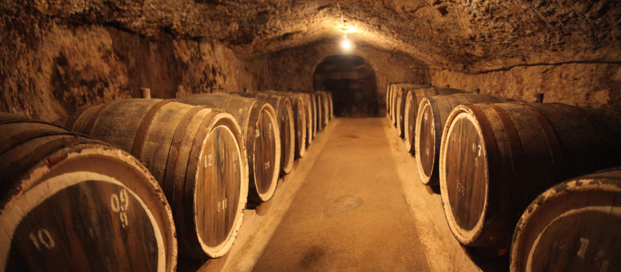normativa vitivinicola