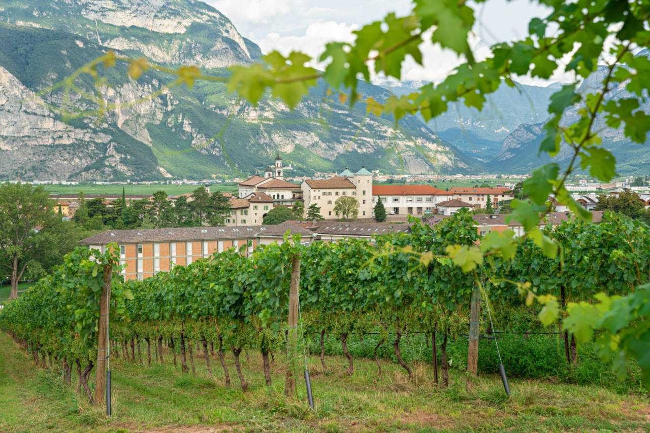 Trentino
