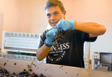 Il Mangiabottoni, vino e progetto sociale di Marinella Camerani