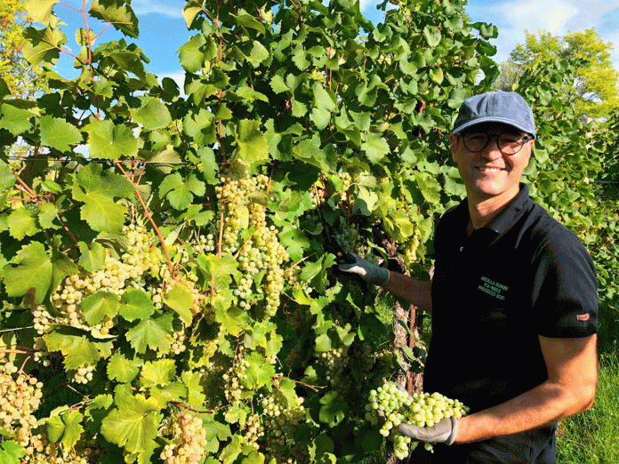 Caner-Vendemmia-(3)