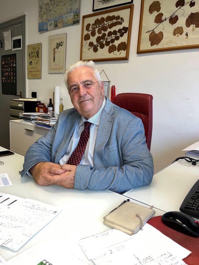 Rosario Di Lorenzo Presidente AIVV