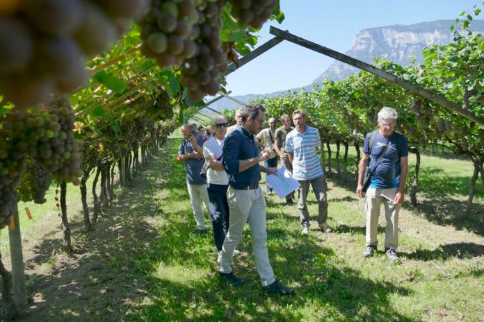 Visita-ai-vigneti-sperimentali