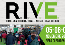 rive 2025