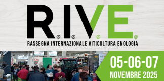 rive 2025