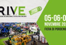 Rive 2025