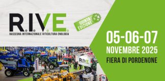 Rive 2025