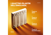 stabilizzazione vino