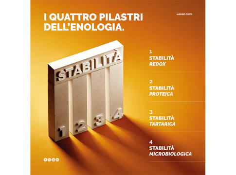 stabilizzazione vino