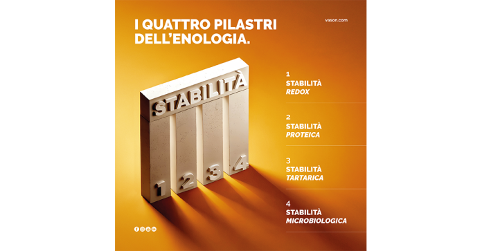 stabilizzazione vino