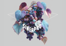 convegno sinepro