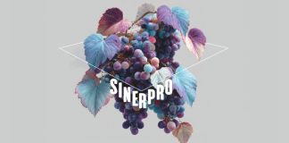 convegno sinepro