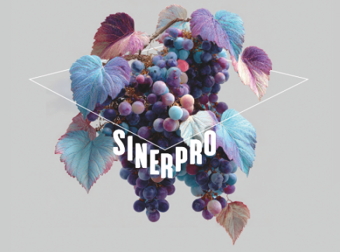 convegno sinepro