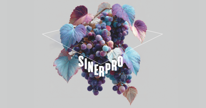 convegno sinepro