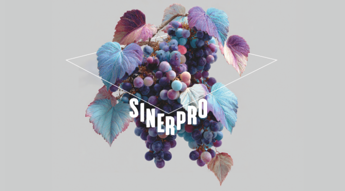 convegno sinepro