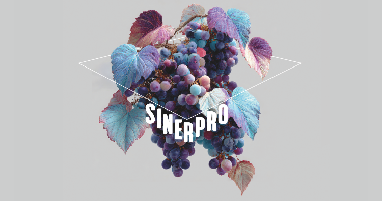 convegno sinepro