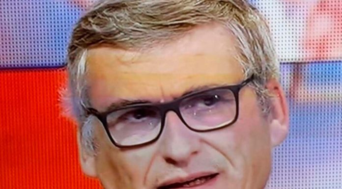 NoLo, partire dal vigneto