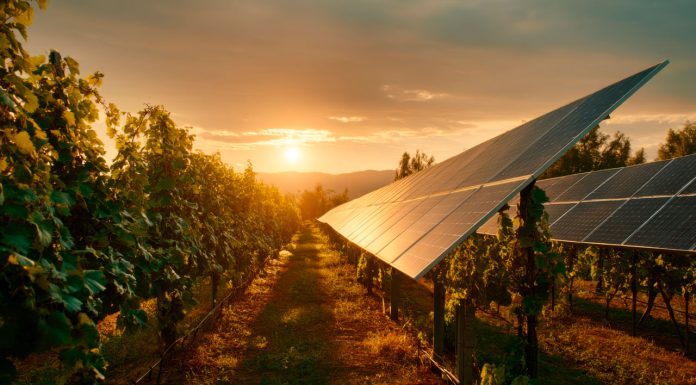 Ridefinire il ruolo della viticoltura nell’era dei vini “light”