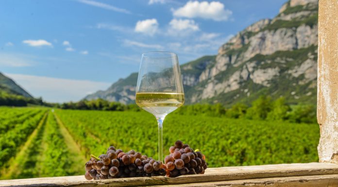 Nuove traiettorie per il Pinot Grigio del Triveneto