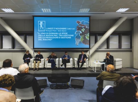 FIVI: “Il futuro del nostro sistema vitivinicolo è nel dialogo” FIVI