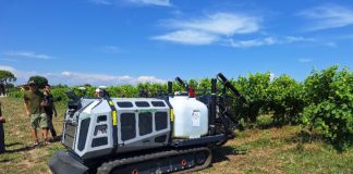 La rivoluzione green in vigneto parte con il progetto europeo OZOVIVER OZOVIVER
