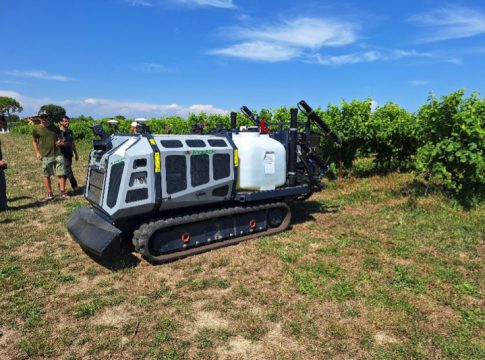 La rivoluzione green in vigneto parte con il progetto europeo OZOVIVER OZOVIVER