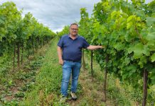 La potenza della collaborazione