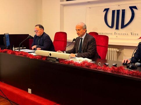 Mercato del vino tra dazi, fondi Ocm per la promozione, rischio espianti e NoLo