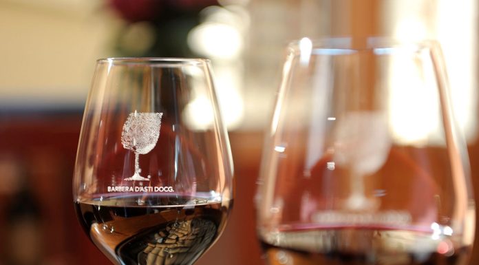 Consorzio Barbera d’Asti e Vini Monferrato, bilancio positivo per il 2025