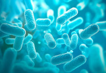 Una visione moderna della FML