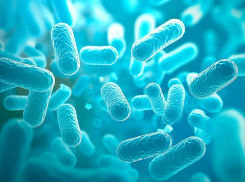 Una visione moderna della FML