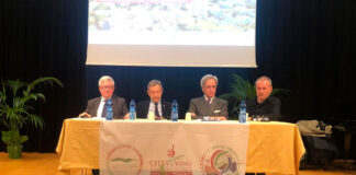 Da sinistra: Giulio Somma, Diego Tomasi, Eugenio Pomarici, Fabio PIccoli