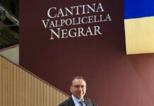 Daniele Accordini Cantina Valpolicella Negrar